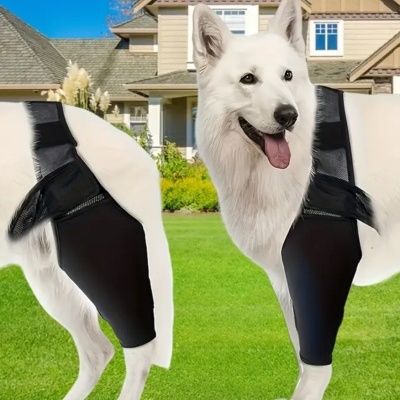 Protecção articular