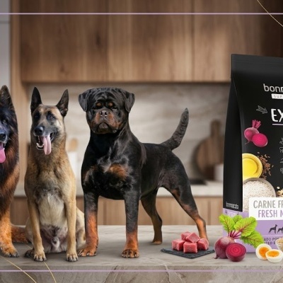 Alimentação Extrem 20kg,carne fresca 32%/26%