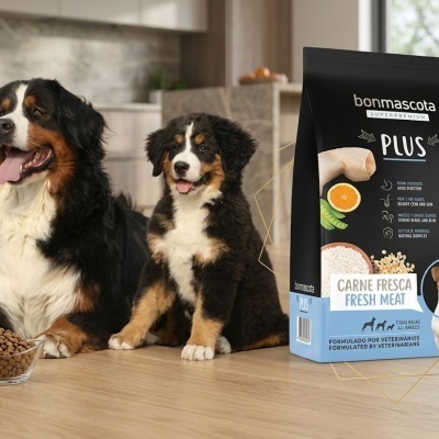 Alimentação   Plus 20kg ,carne fresca 28%/13%