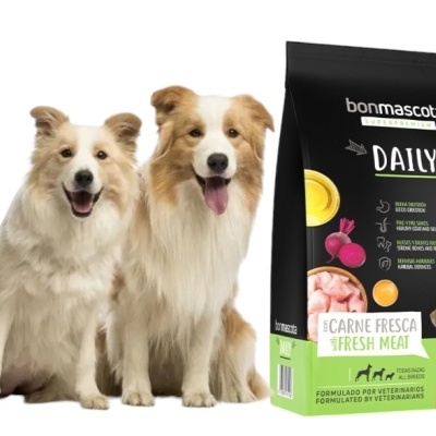 Alimentação Daily Bonmascota 20kg carne fresca