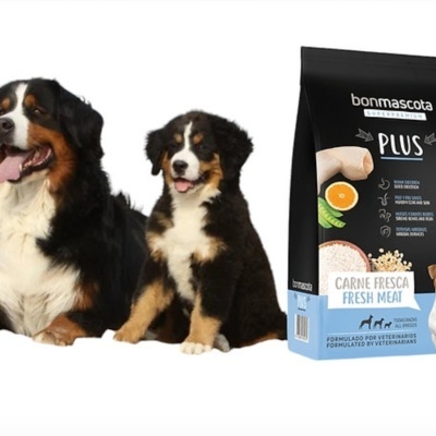 Alimentação   Plus 20kg ,carne fresca 28%/13%