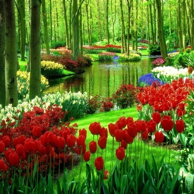 KIAROMA F     AMBIENTADOR COM FRAGRÂNCIA PERSISTENTE      1L