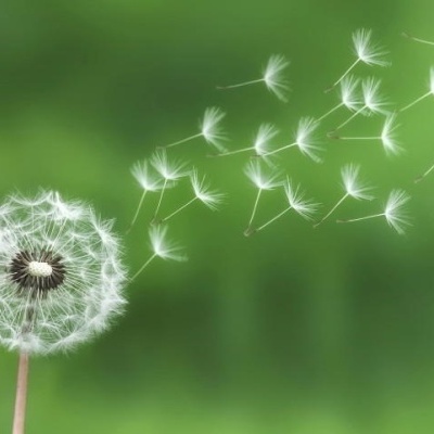 KIAROMA K AMBIENTADOR COM FRAGRÂNCIA PERSISTENTE 1L KIAROMA K AMBIENTADOR COM FRAGRÂNCIA PERSISTENTE 1L