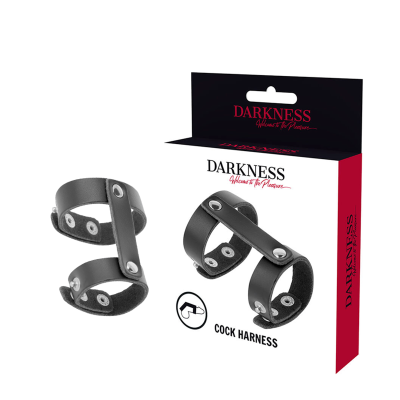 DARKNESS - ANEL DE PÉNIS E TESTÍCULOS AJUSTVEIS EM COURO
