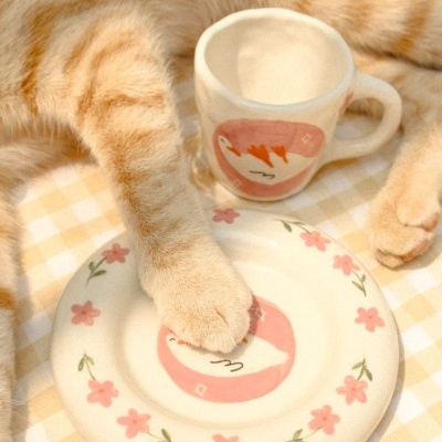 Prato Redondo Patito