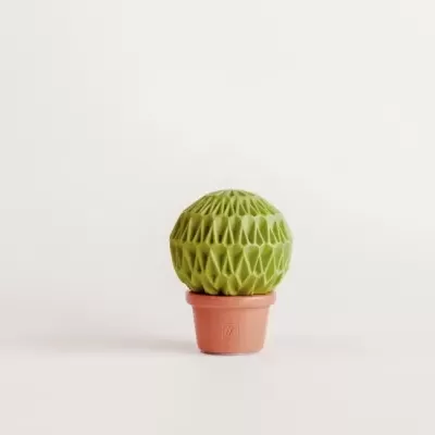 Manjerico Decorativo Aromático