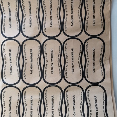 Protector de Lingerie