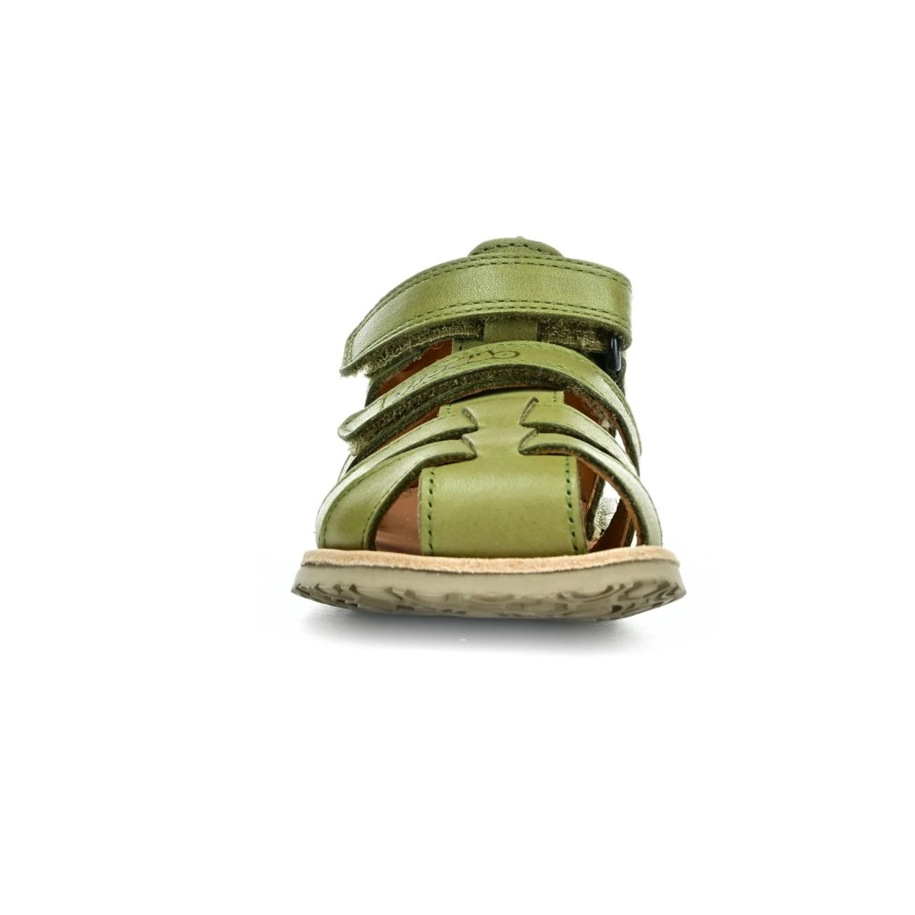 Sandália Flexi Olive - Froddo