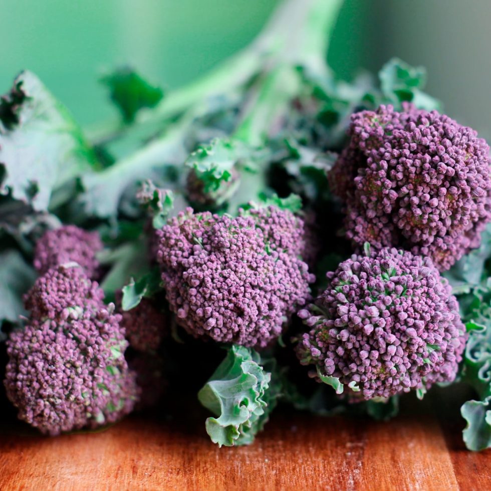 Mini horta – Legumes estranhos