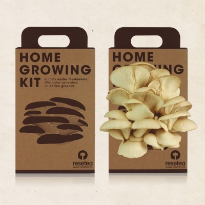 Kit Cultivo de Cogumelos - 2kg