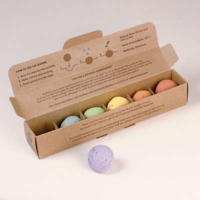 Pack de 6 bombas de flores