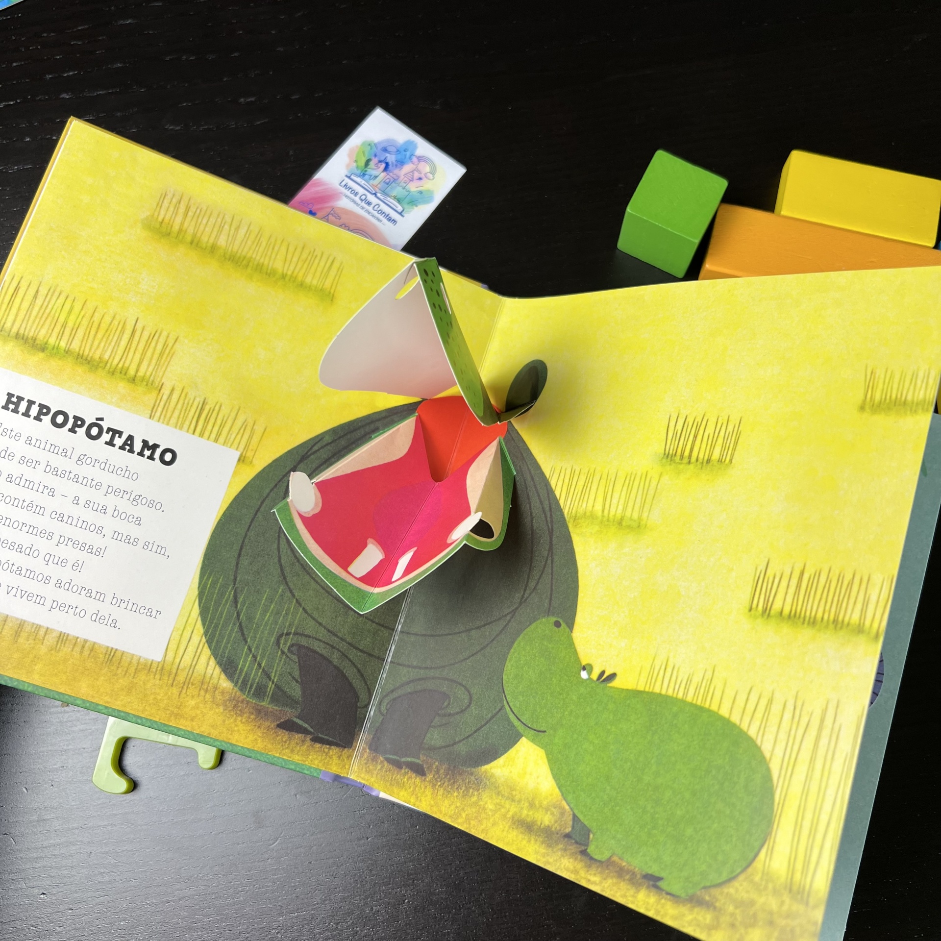 O ELEFANTE E OS SEUS AMIGOS - LIVRO POP-UP