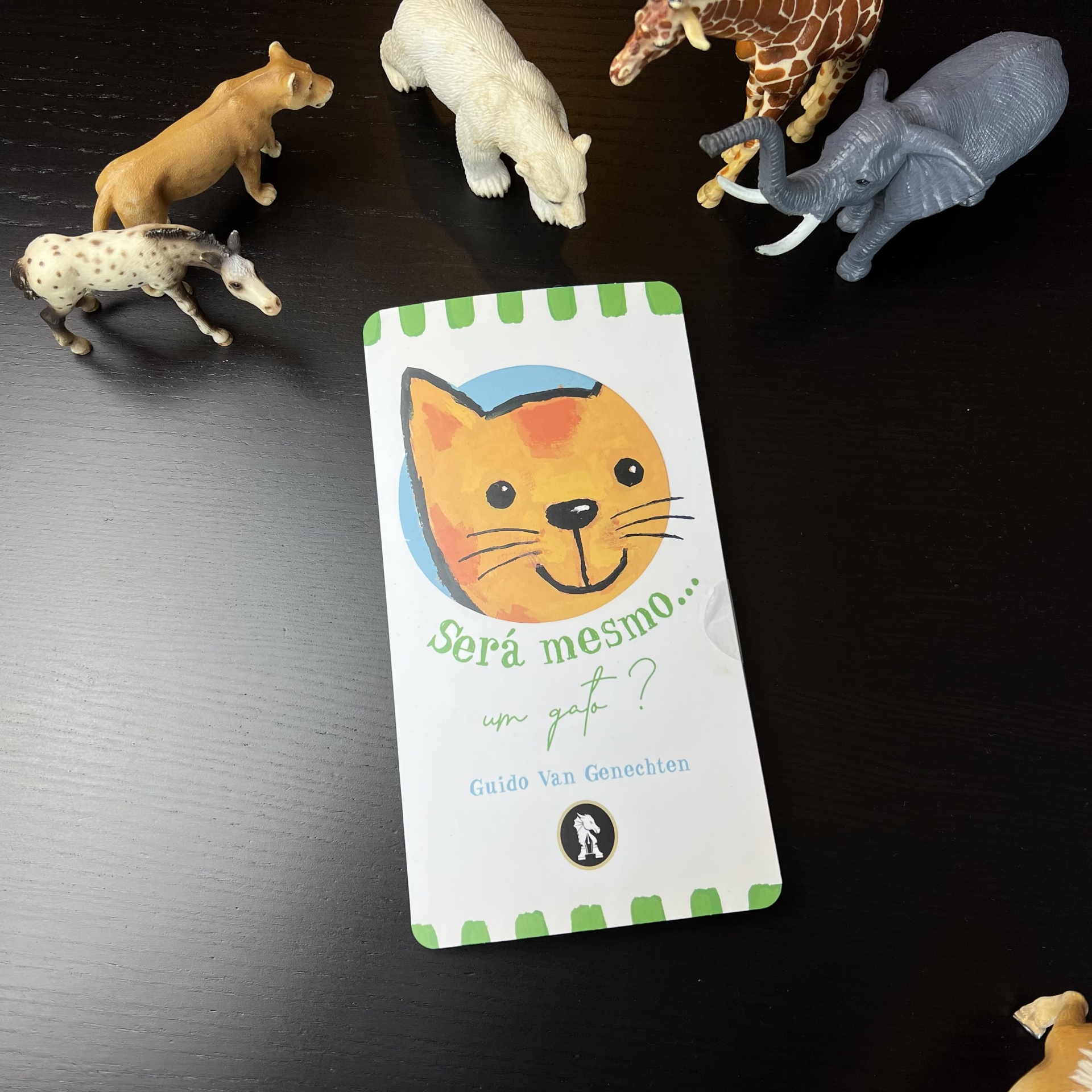 Será mesmo... um gato?