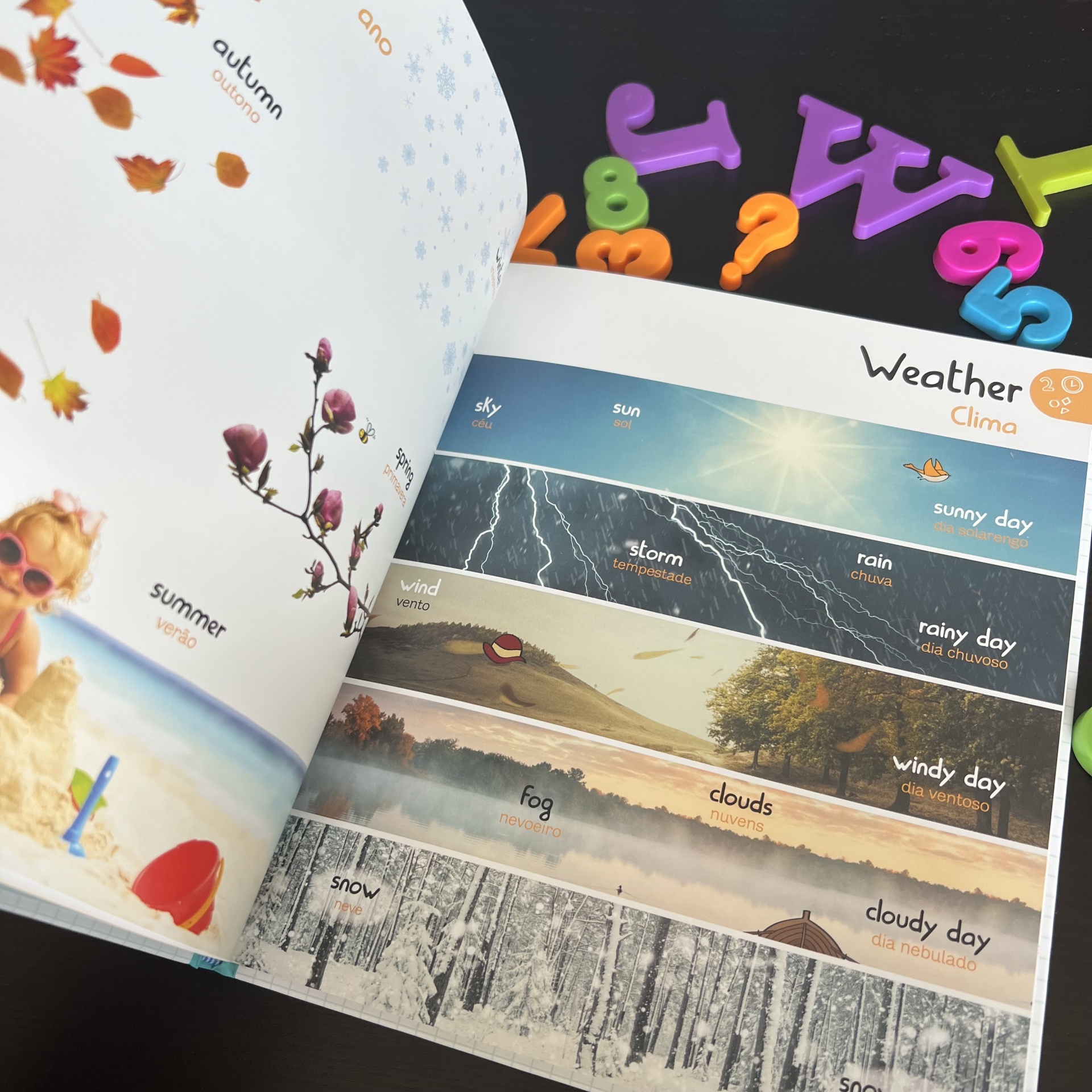 JÁ SEI INGLÊS! - DICIONÁRIO POR IMAGENS