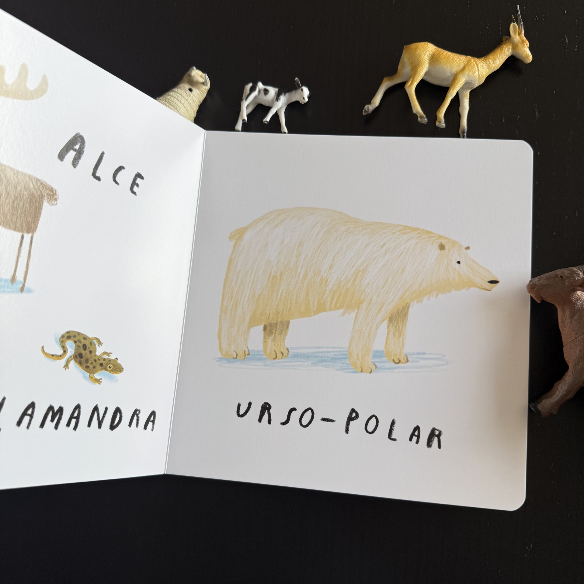 Aqui Estamos Nós - Livro dos Animais