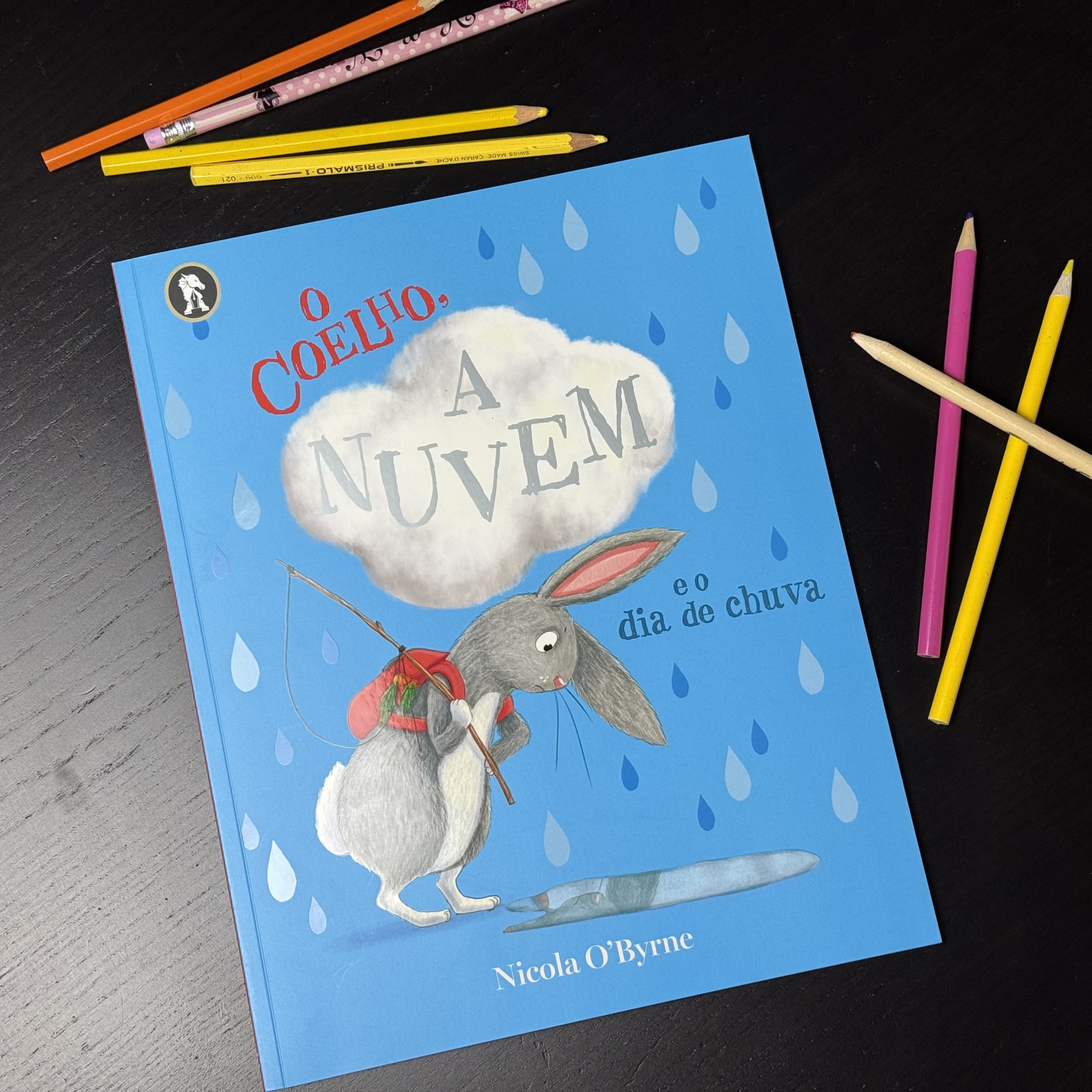 O coelho, a nuvem e o dia de chuva