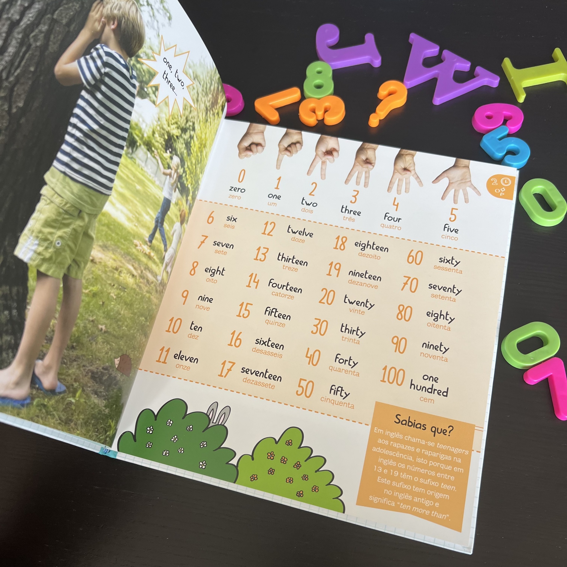 JÁ SEI INGLÊS! - DICIONÁRIO POR IMAGENS