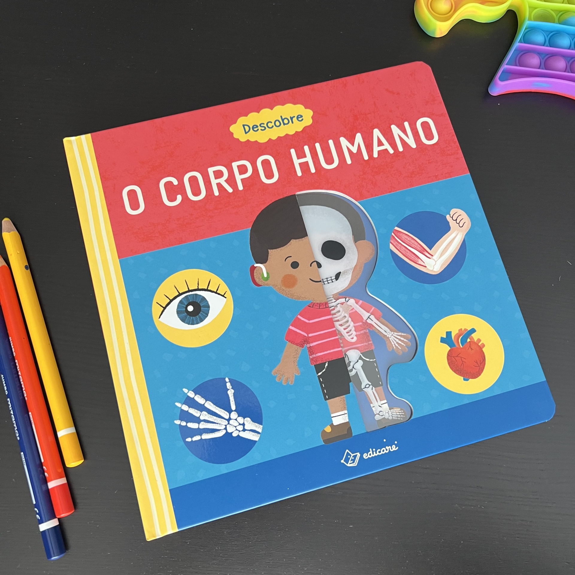 DESCOBRE - O CORPO HUMANO