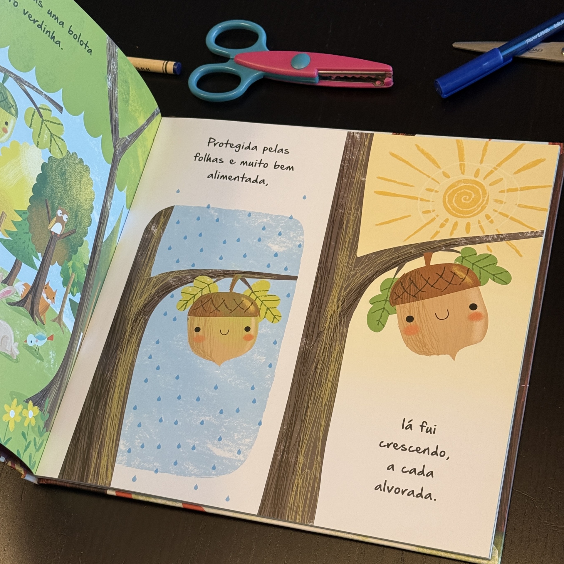 Ciclos da Natureza 1: A Viagem da Sementinha