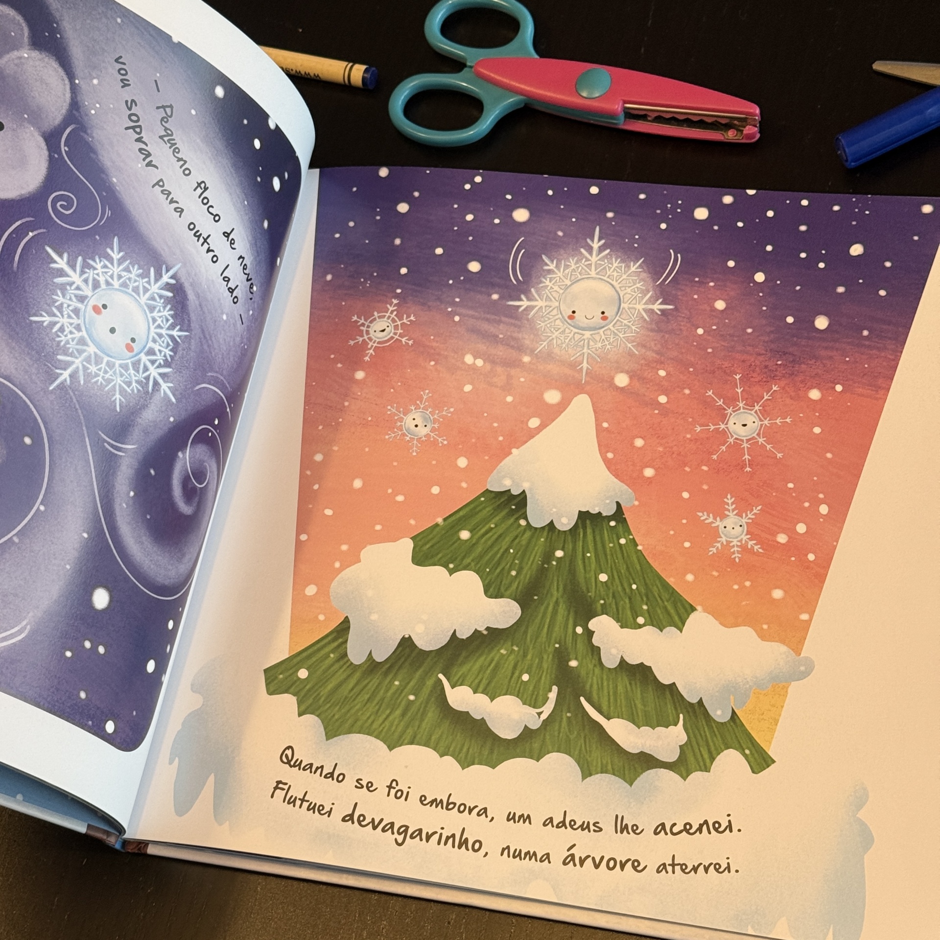Ciclos da Natureza 7: A Viagem do Floco de Neve