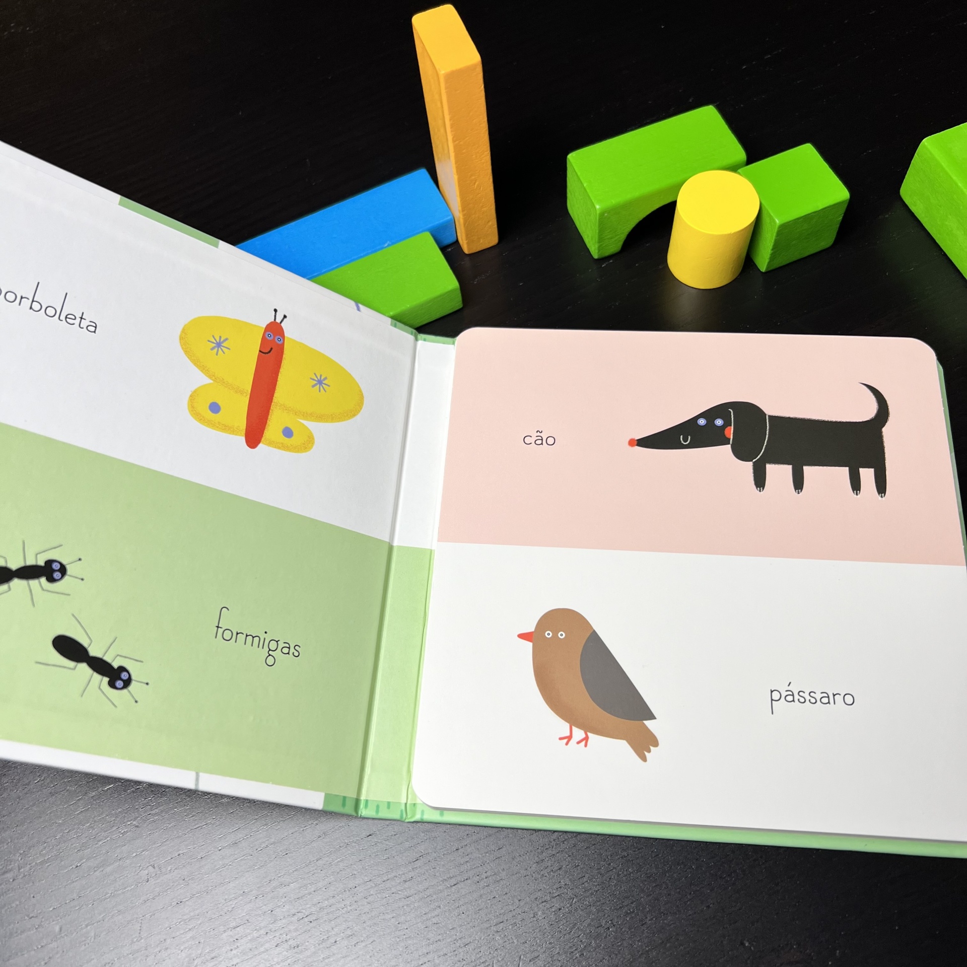 EDICARE BEBÉ - LIVRO ACORDEÃO JARDIM