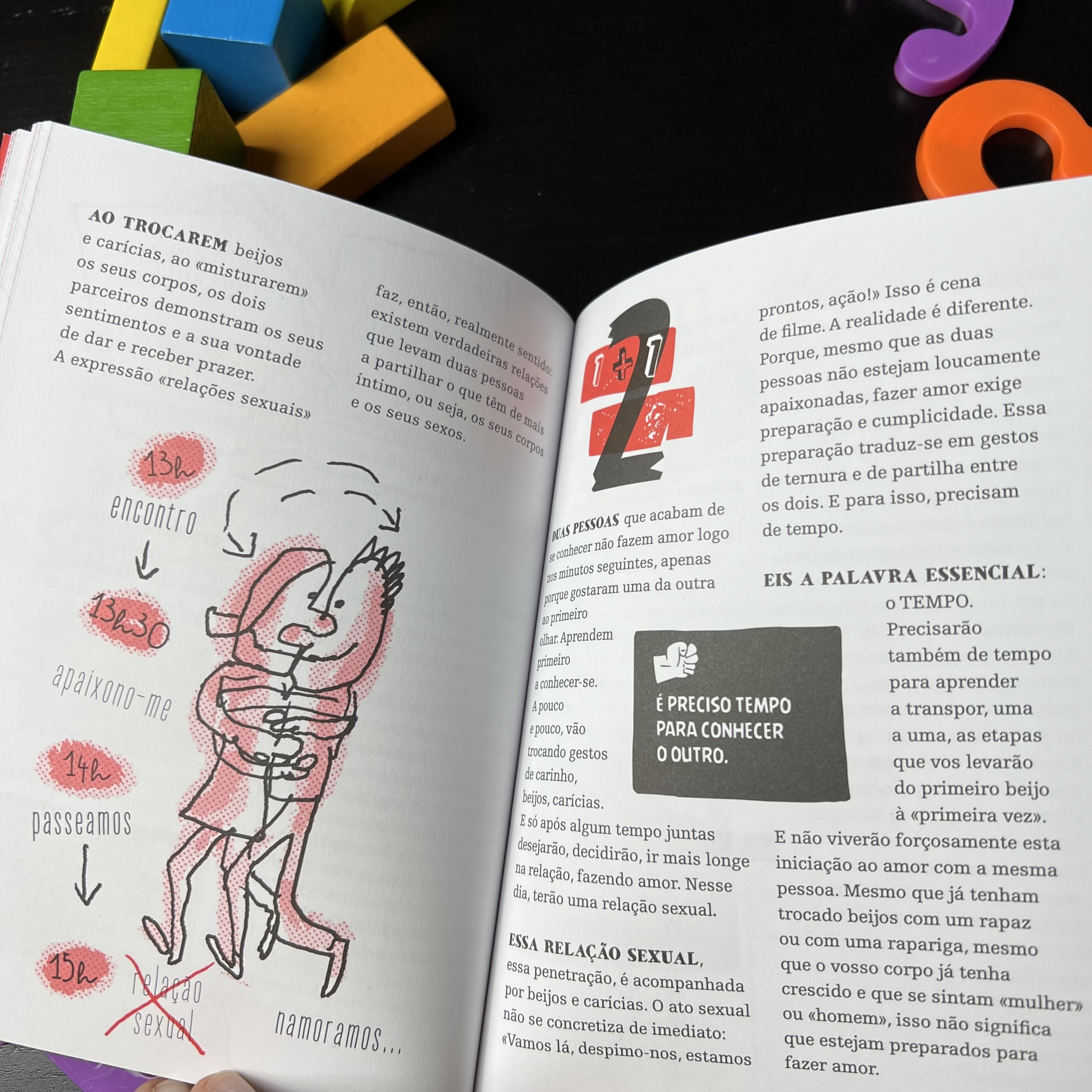 SEXUALIDADE A GRANDE QUESTÃO