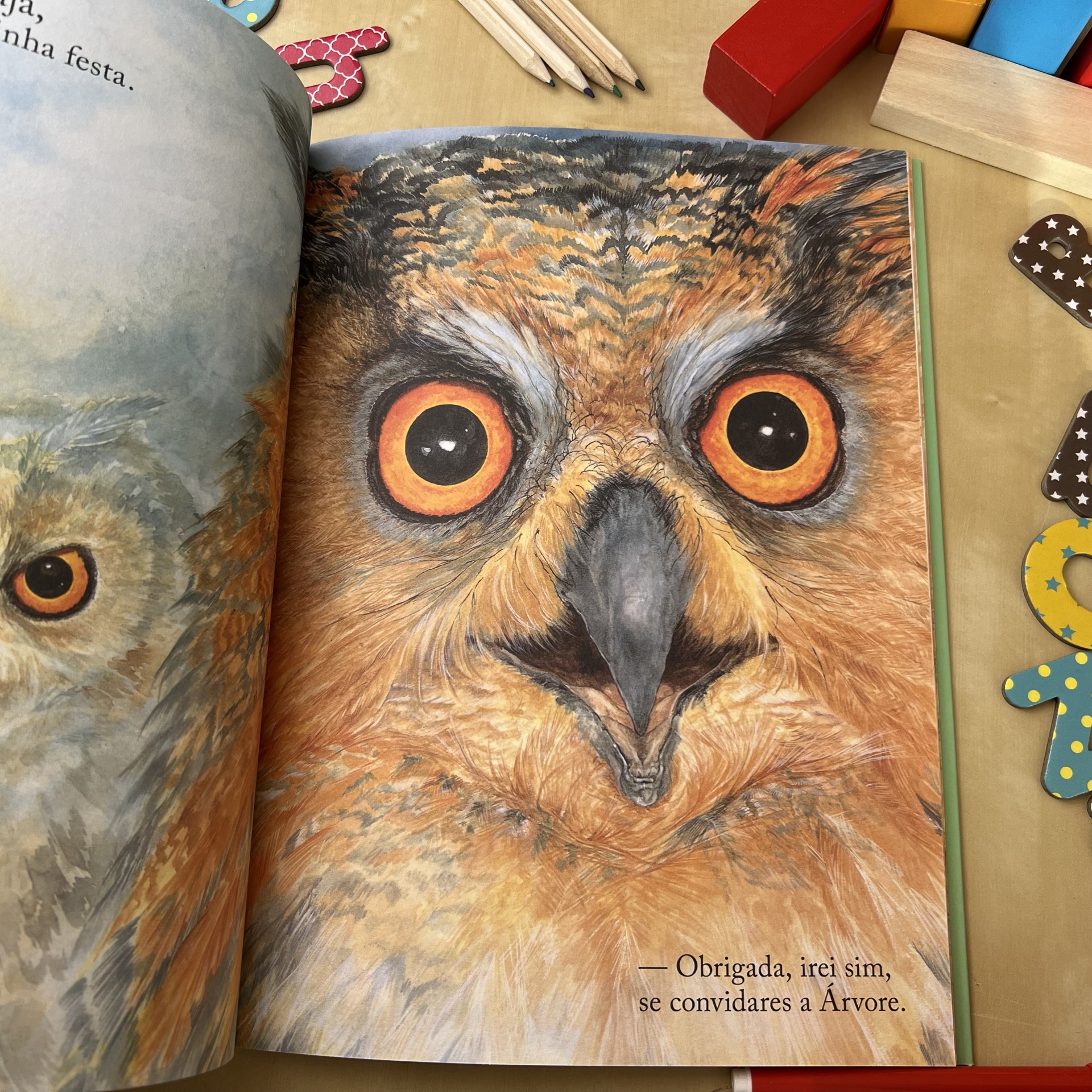 BRUXA, BRUXA, VEM À MINHA FESTA