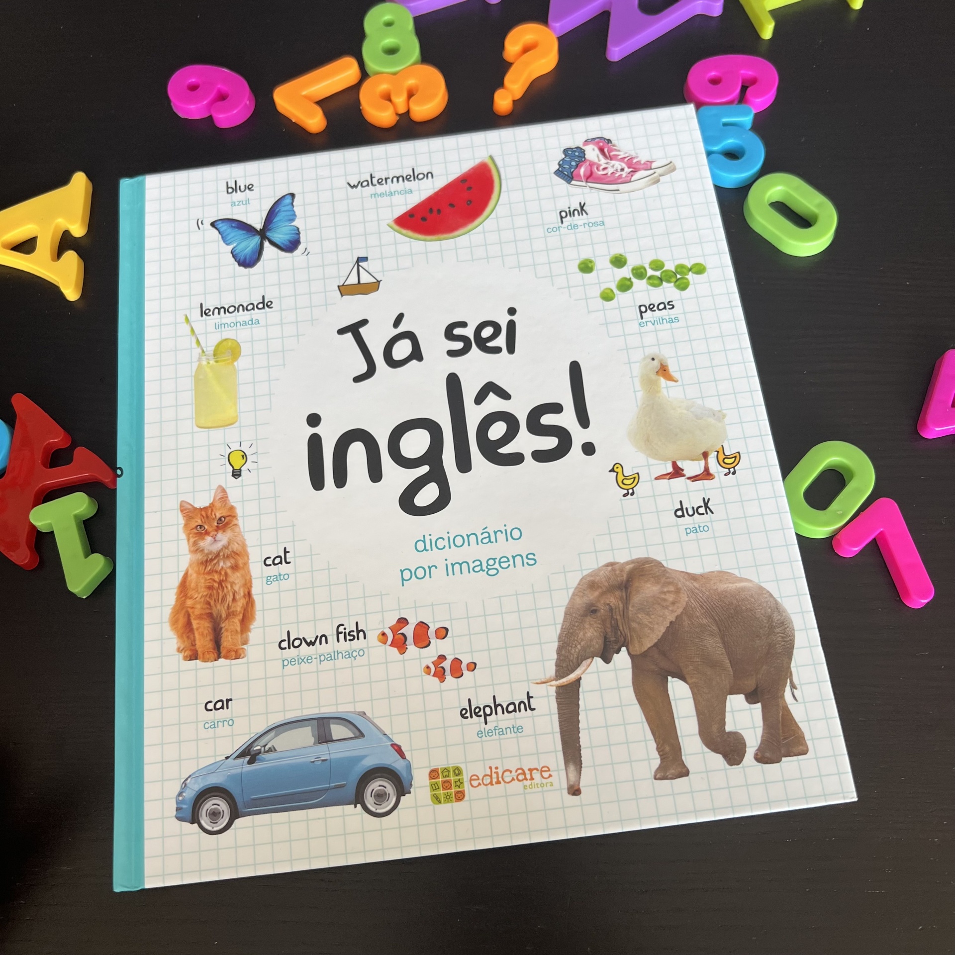 JÁ SEI INGLÊS! - DICIONÁRIO POR IMAGENS