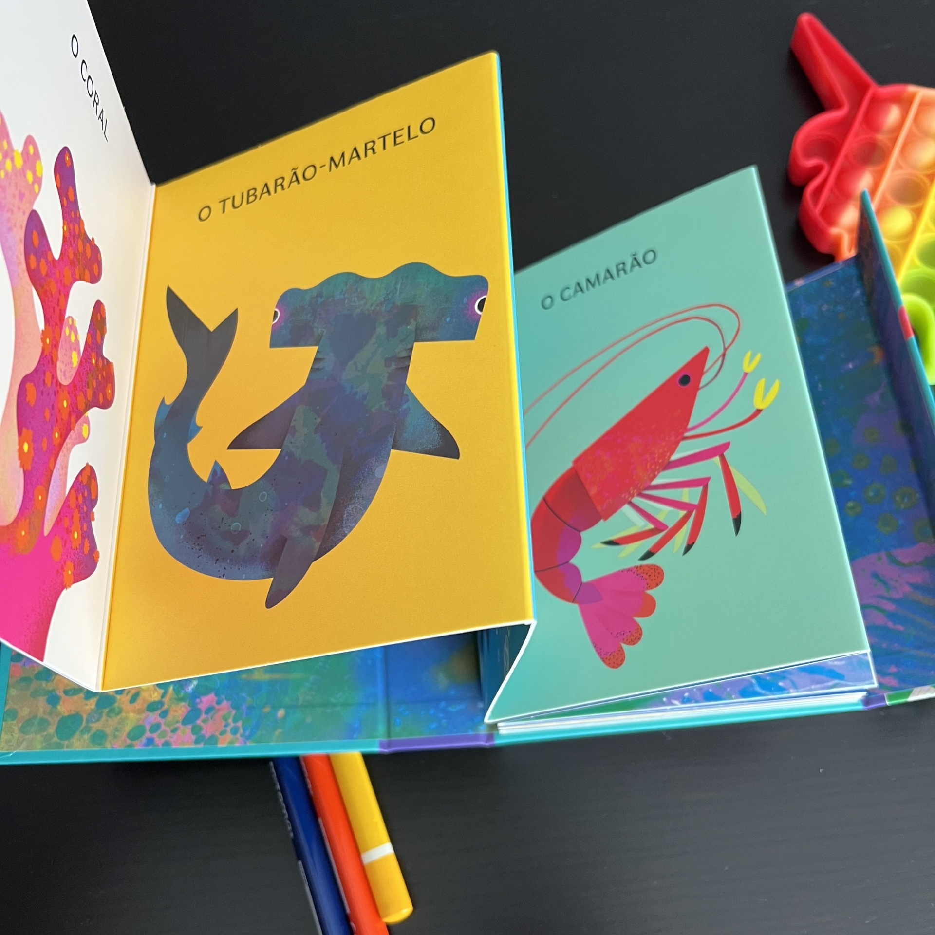 No Mar - Livro Acordeão