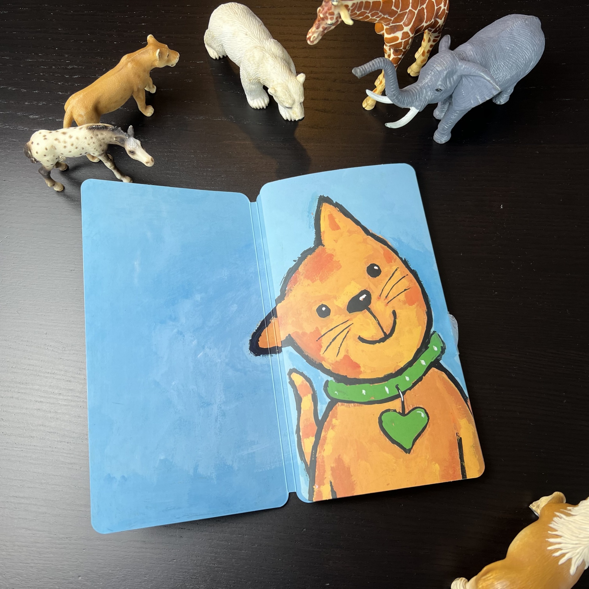 Será mesmo... um gato?