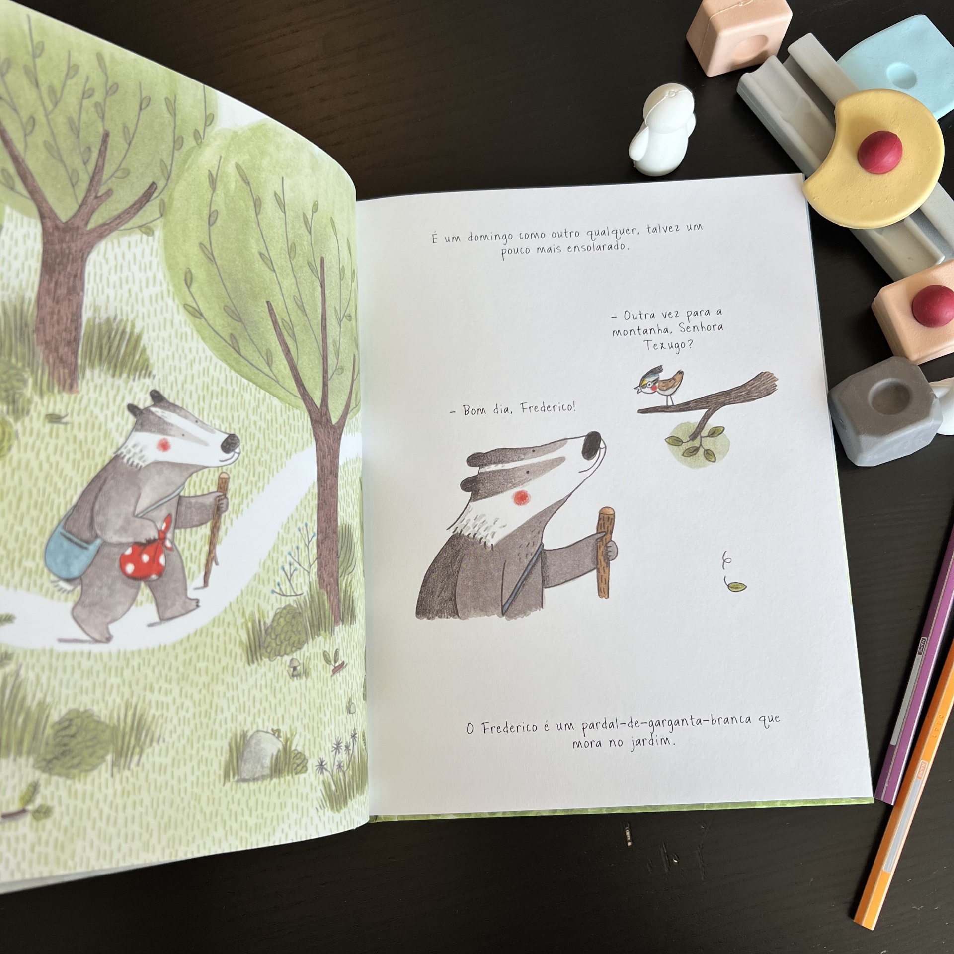 O CAMINHO DA MONTANHA