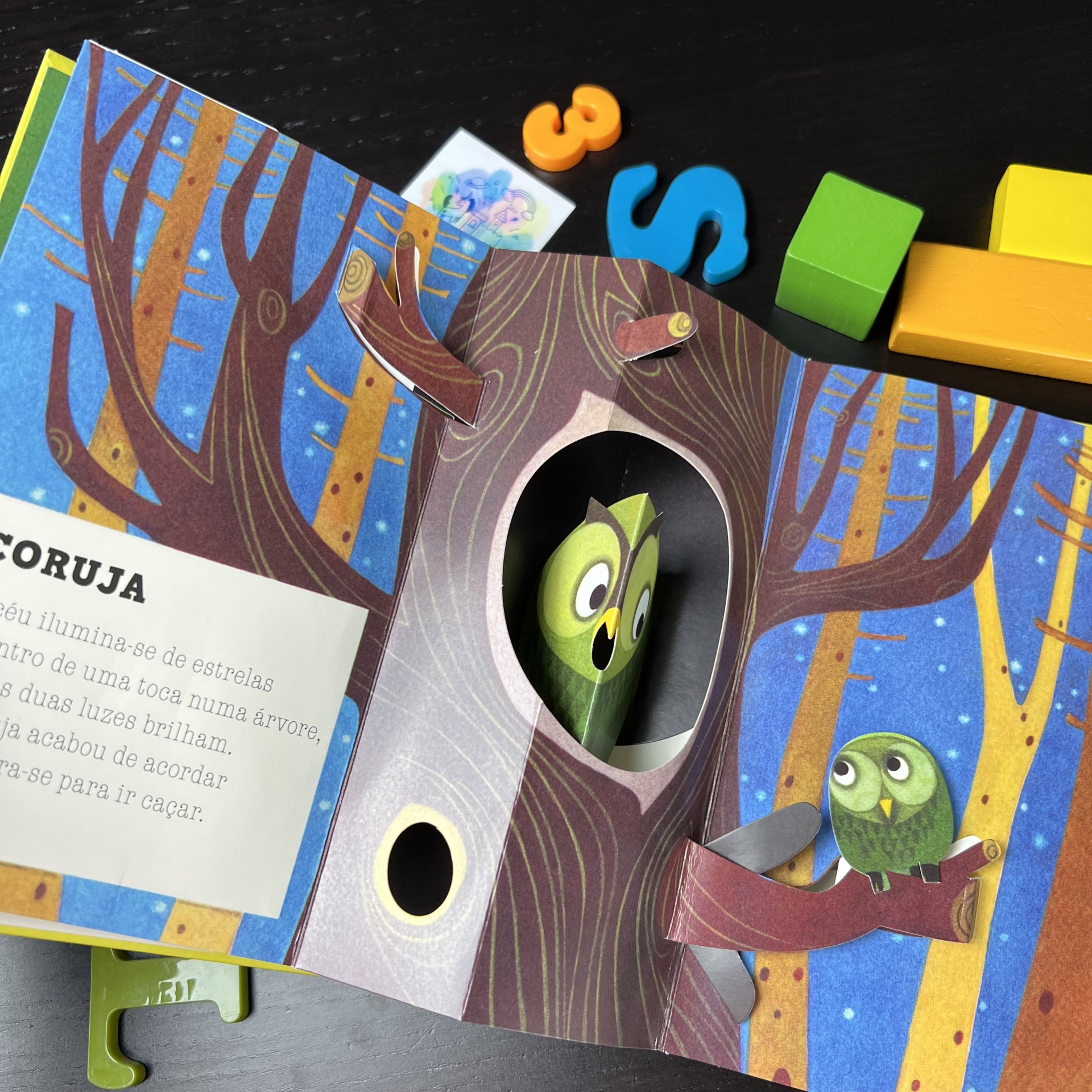 O CÃO E OS SEUS AMIGOS - LIVRO POP-UP