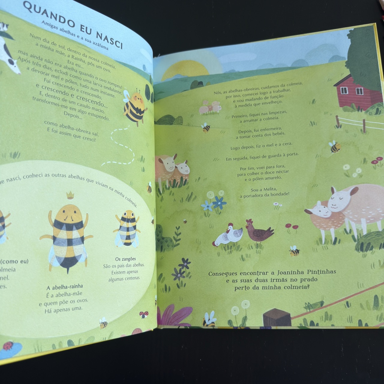 A Vida Secreta das Abelhas