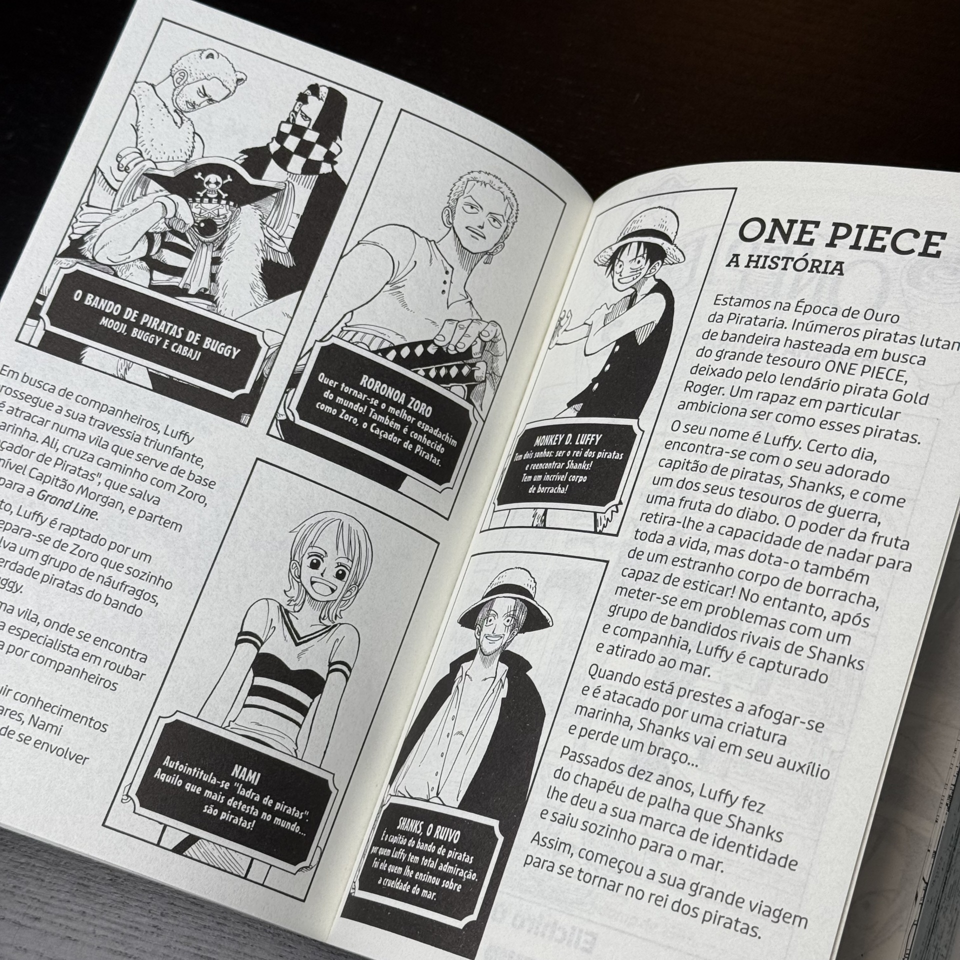 One Piece 01 A alvorada da aventura