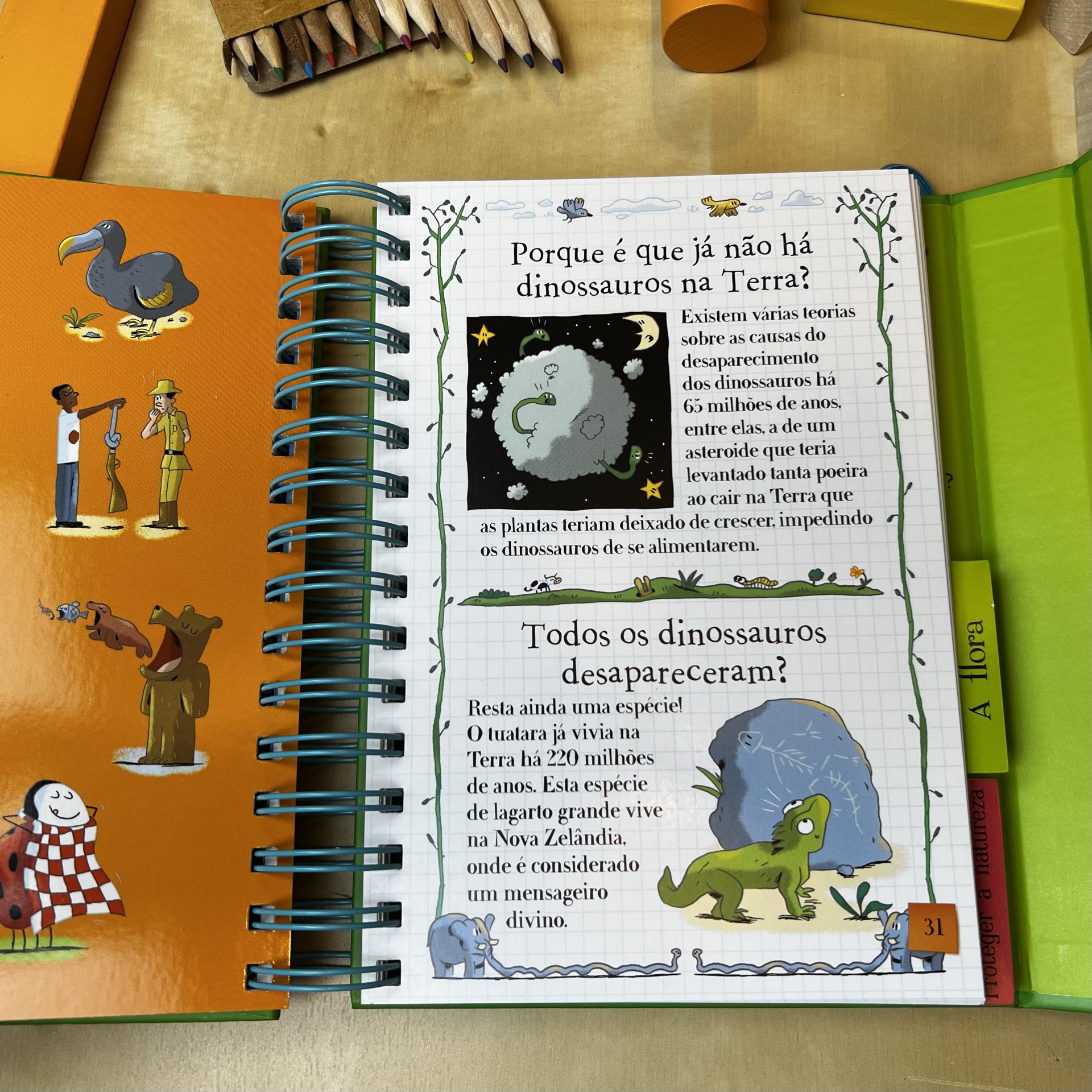 DIZ-ME - PROTEGER A NATUREZA!