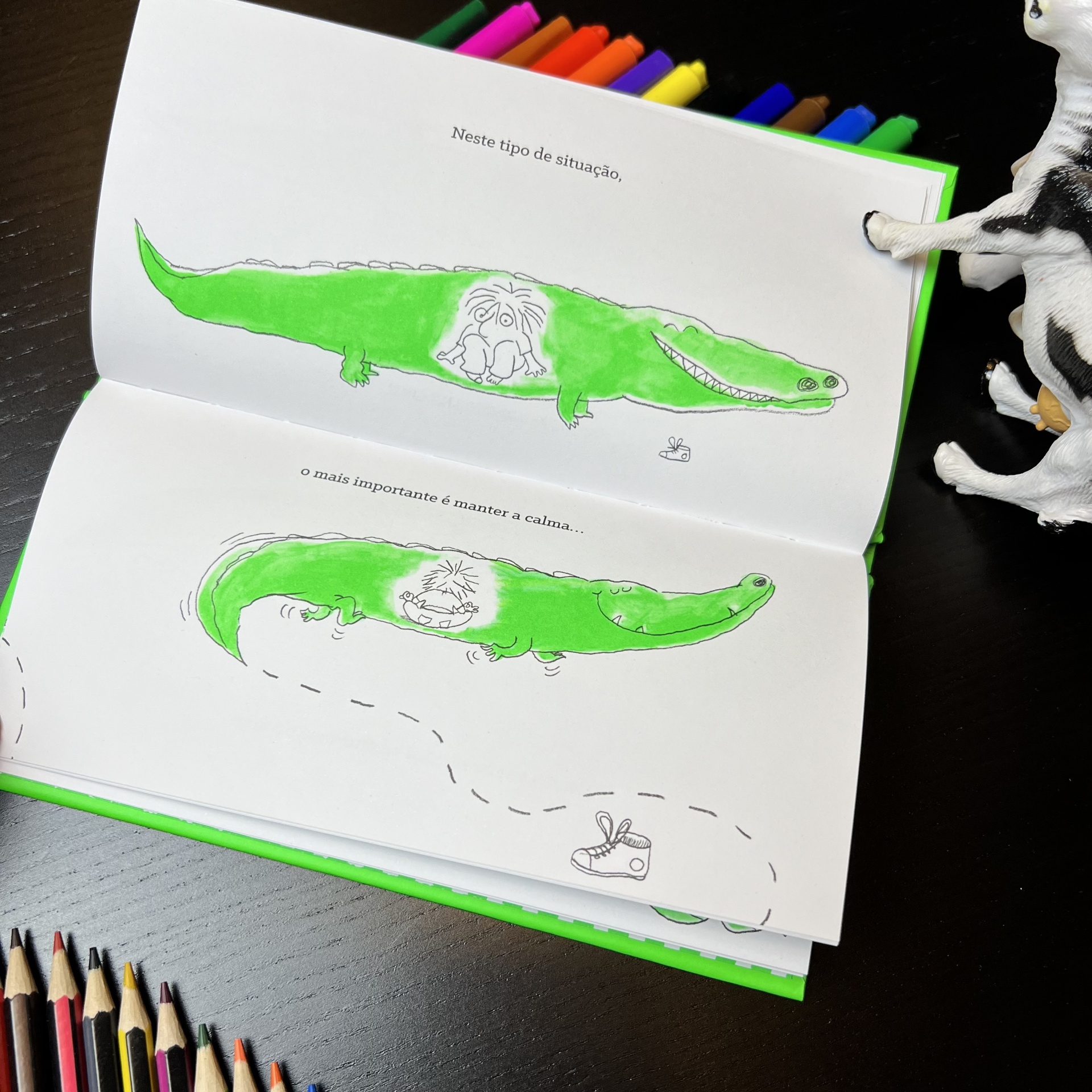 O melhor livro para aprender a desenhar uma vaca