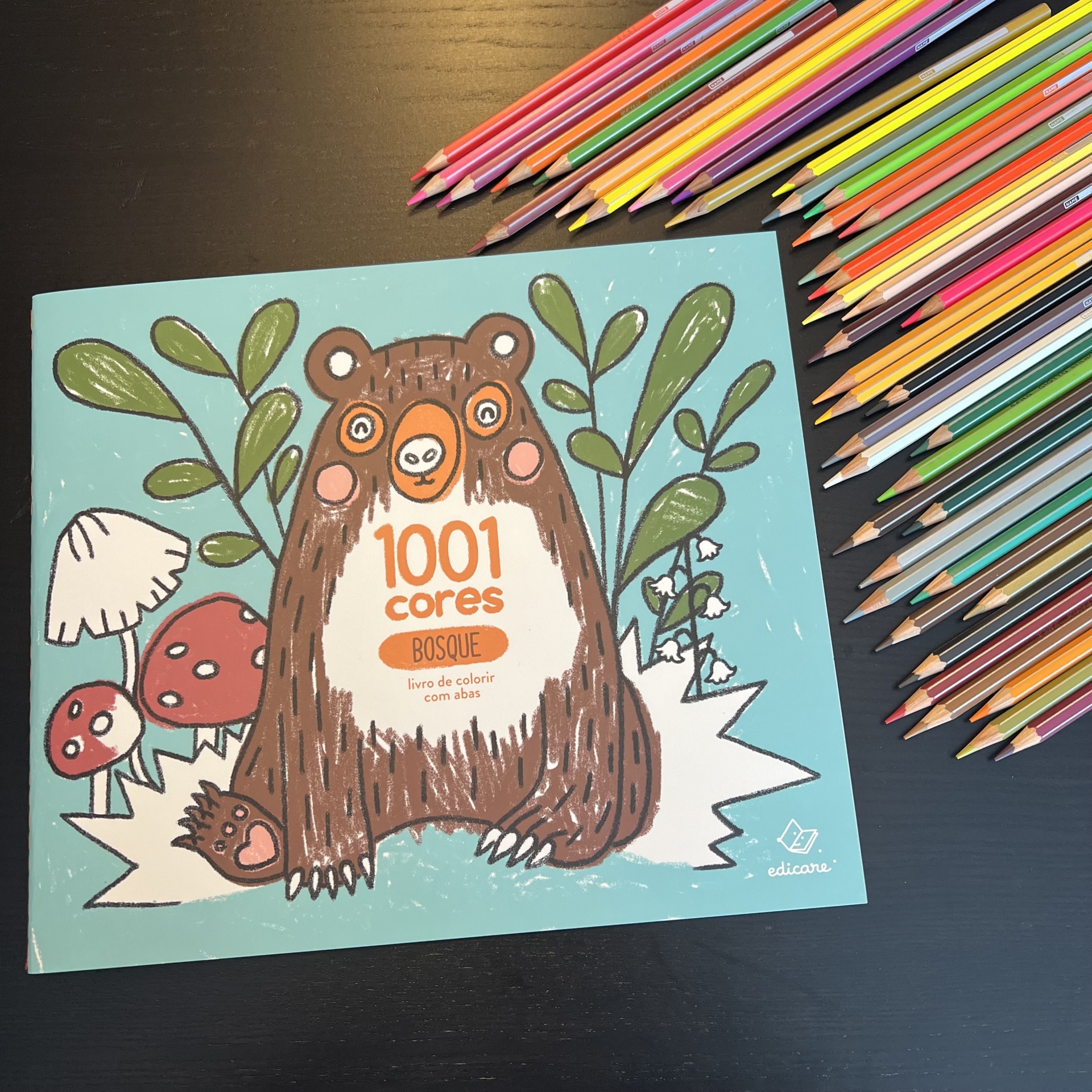 1001 CORES - BOSQUE (Livro de colorir com abas)