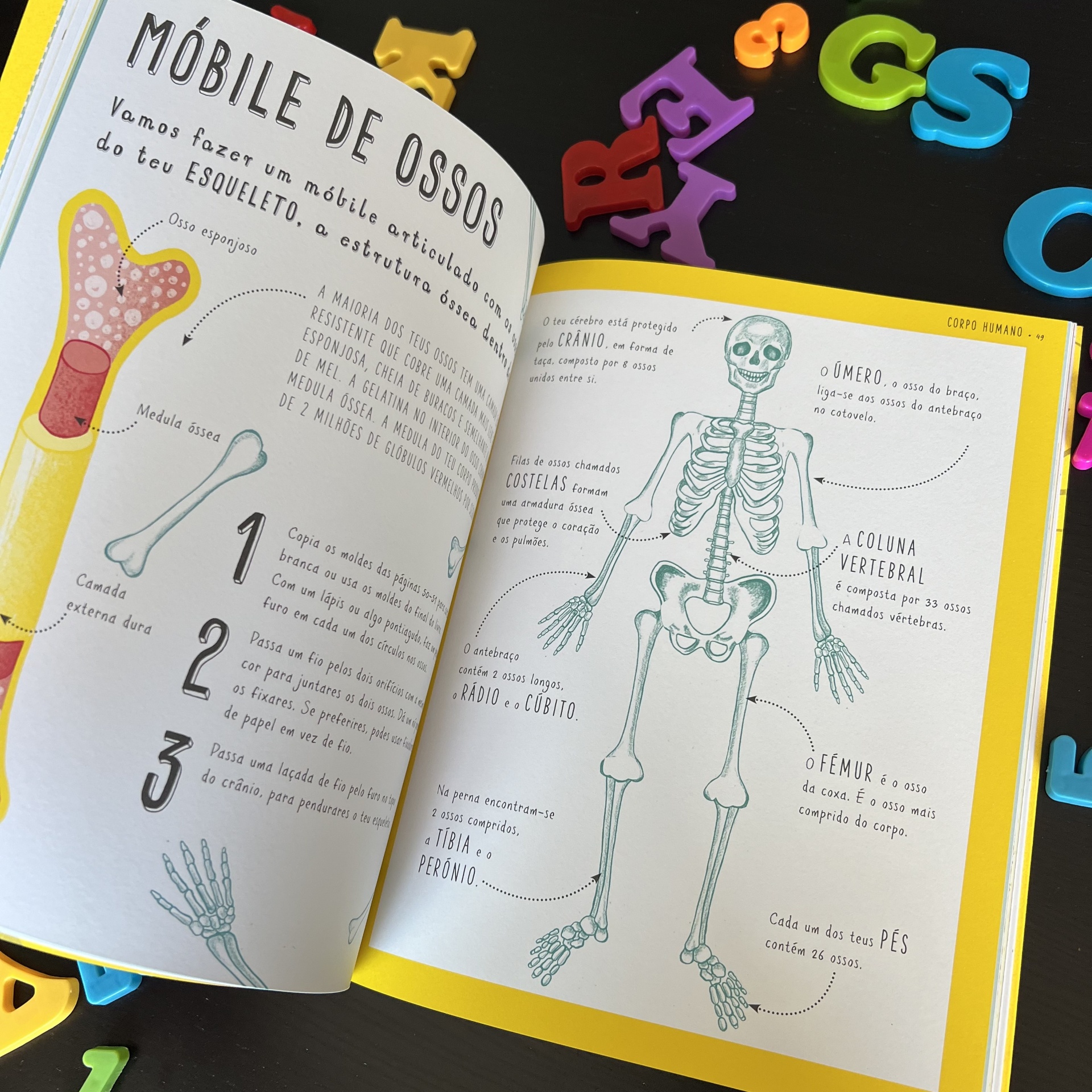 ISTO NÃO É UM LIVRO DE CIÊNCIA