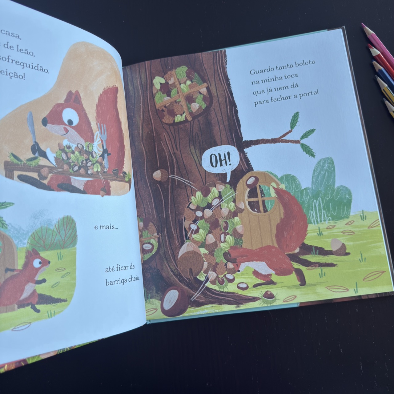 A Grande Caça às Bolotas