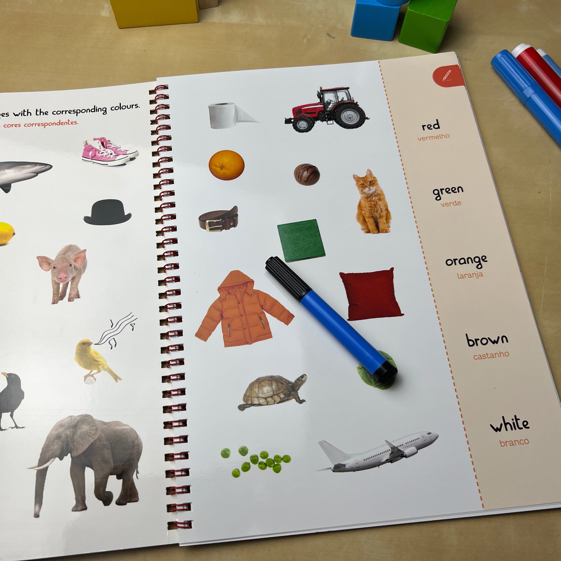 JÁ SEI INGLÊS! - LIVRO DE ATIVIDADES - 6/7 ANOS