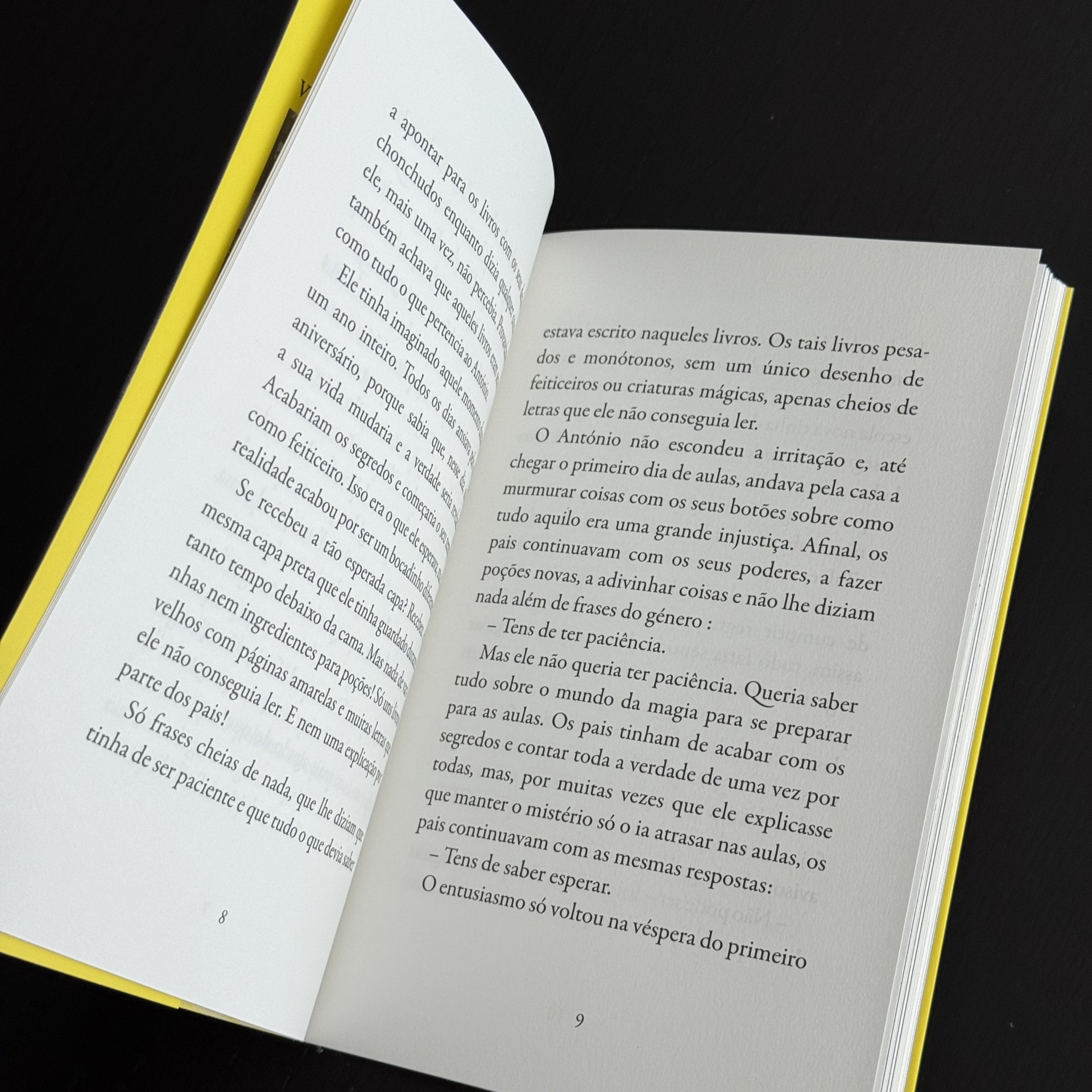 O feiticeiro e a sombra no sótão