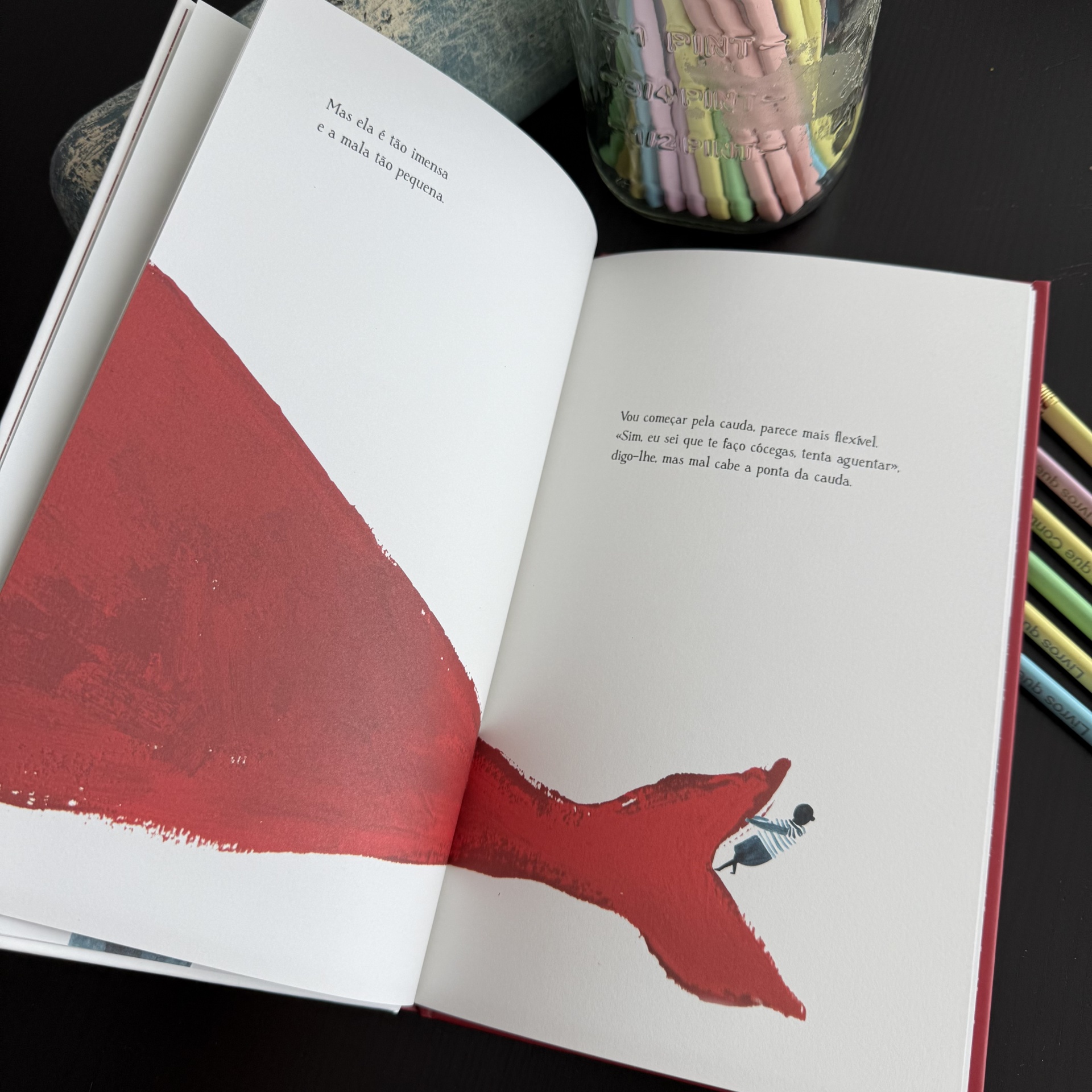 Como meter uma baleia numa mala