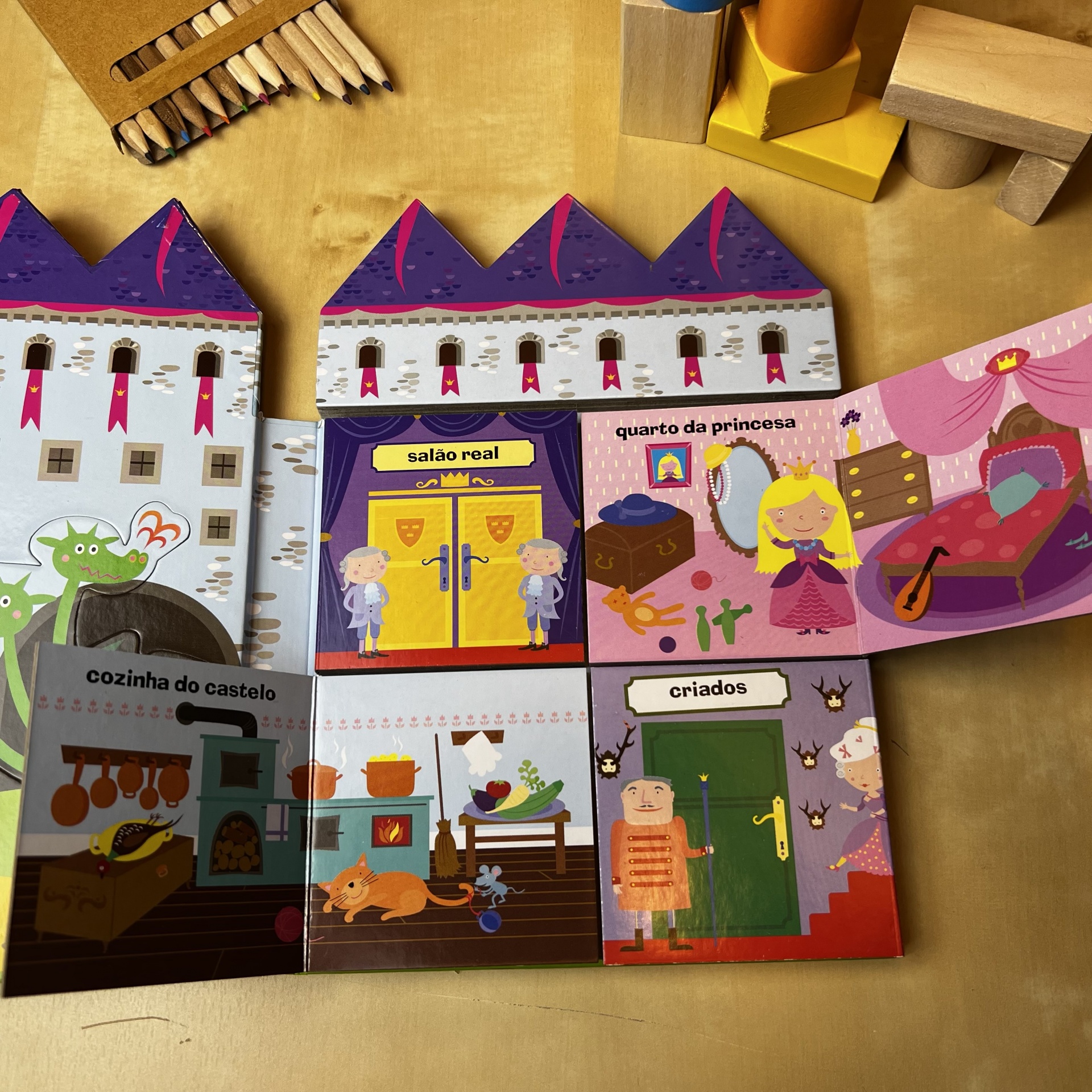 O CASTELO DA PRINCESA