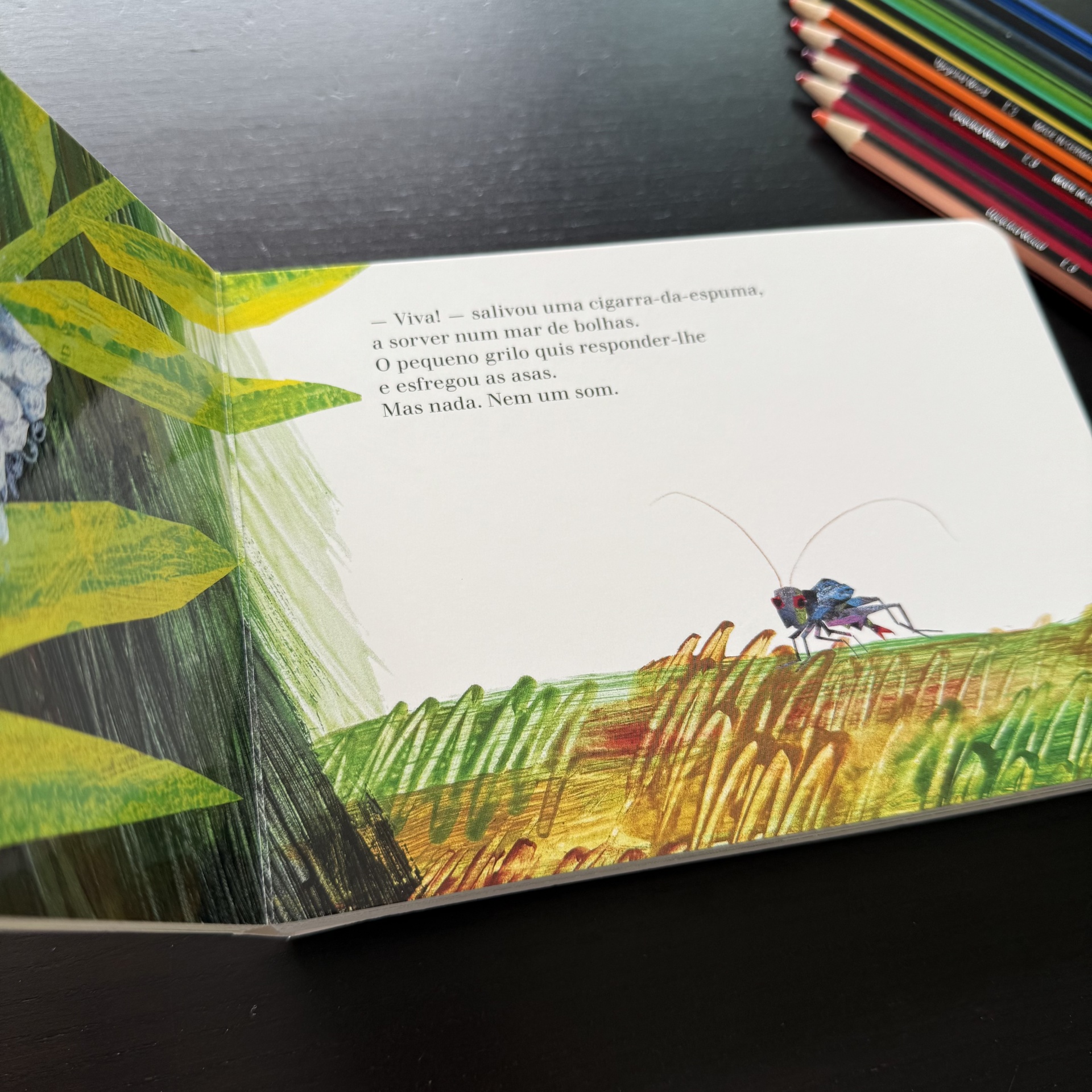 O Grilo Muito Silencioso