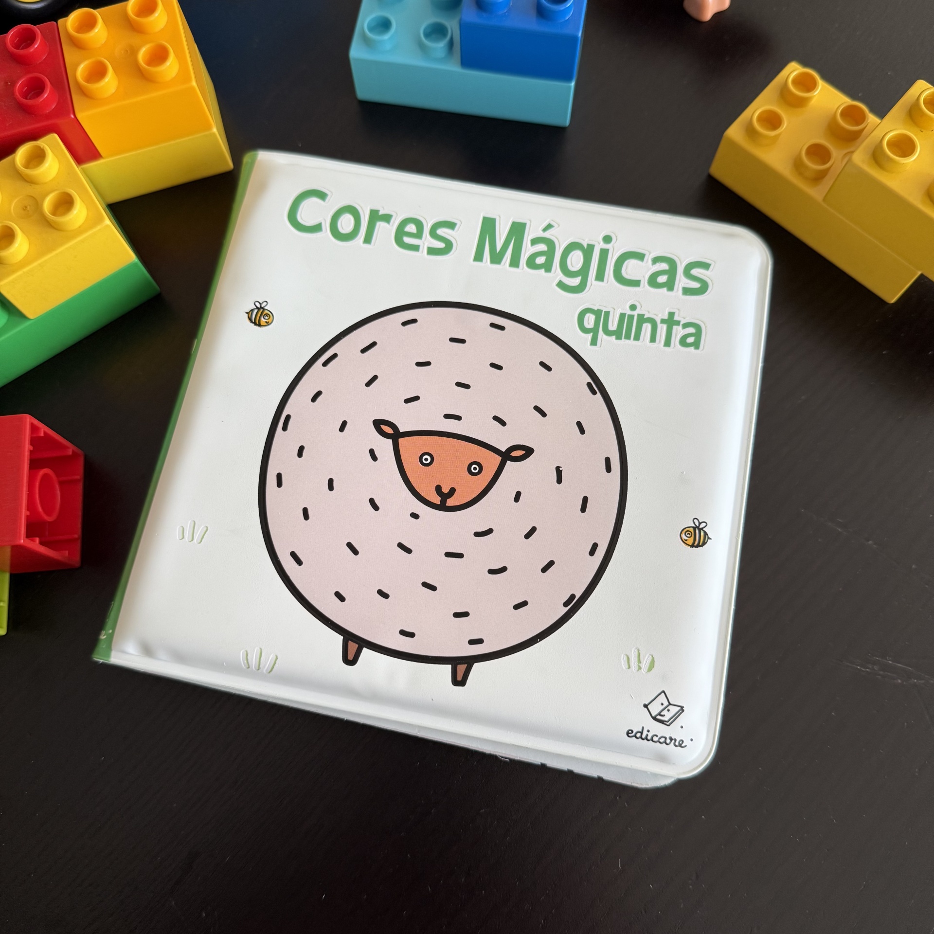 CORES MÁGICAS - QUINTA