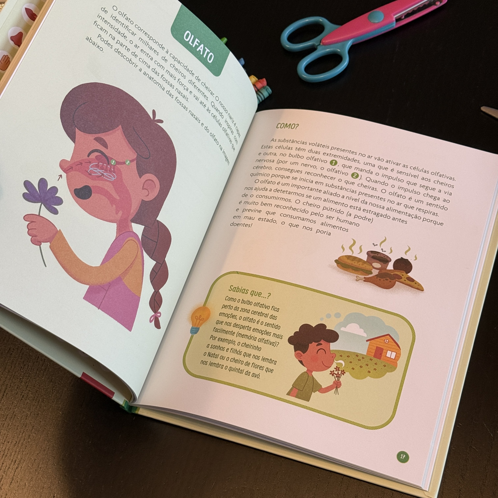 Explora os Cinco Sentidos