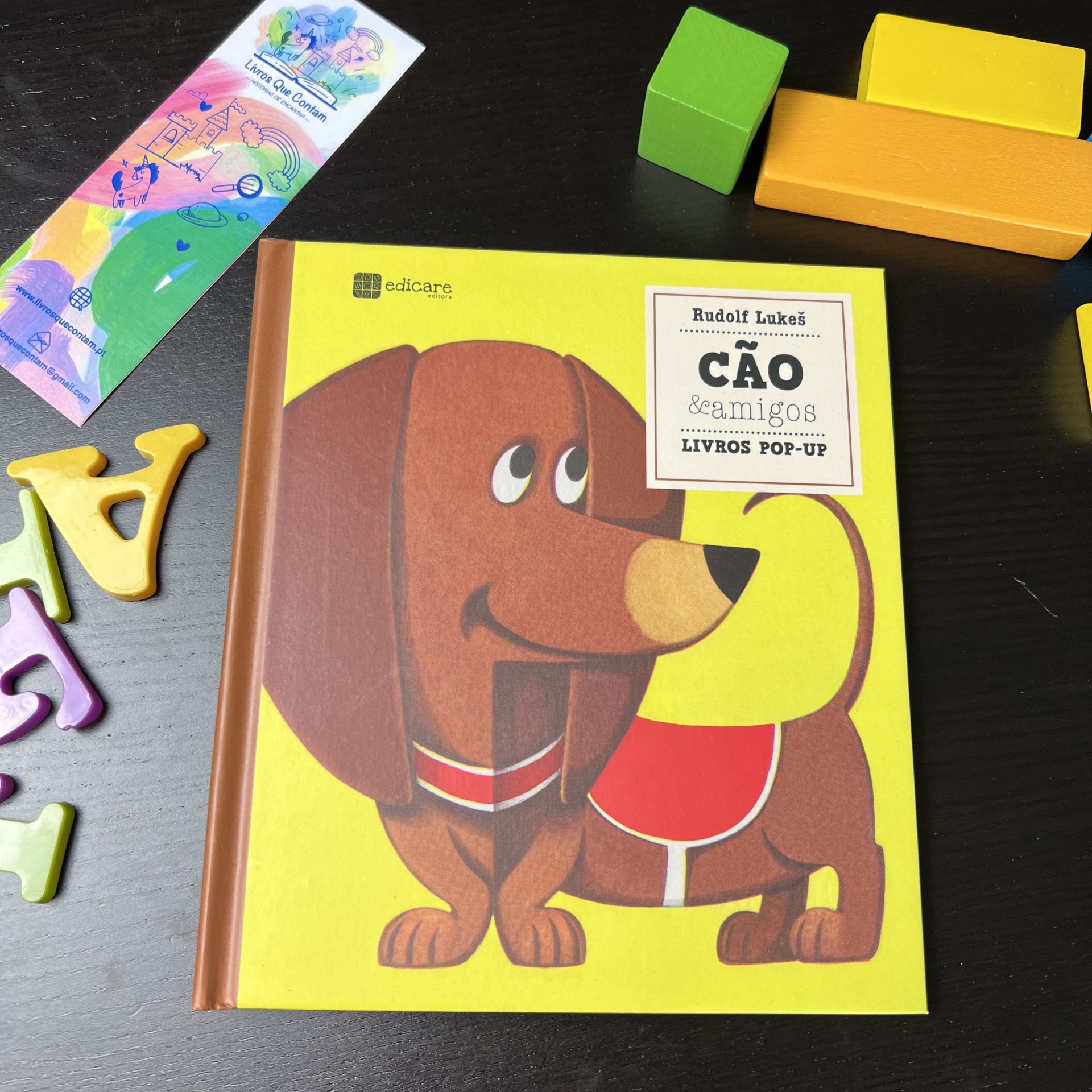 O CÃO E OS SEUS AMIGOS - LIVRO POP-UP