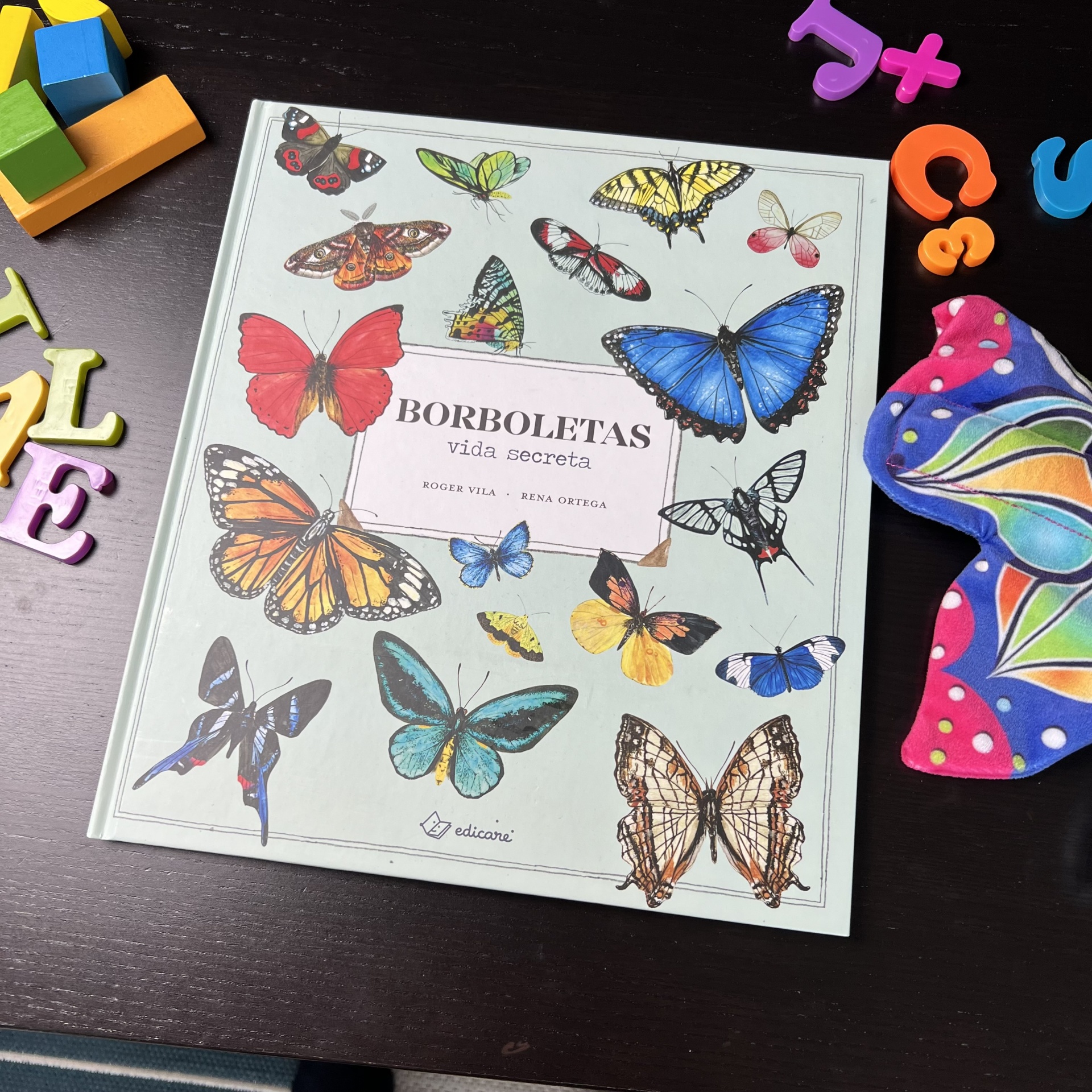 BORBOLETAS - VIDA SECRETA