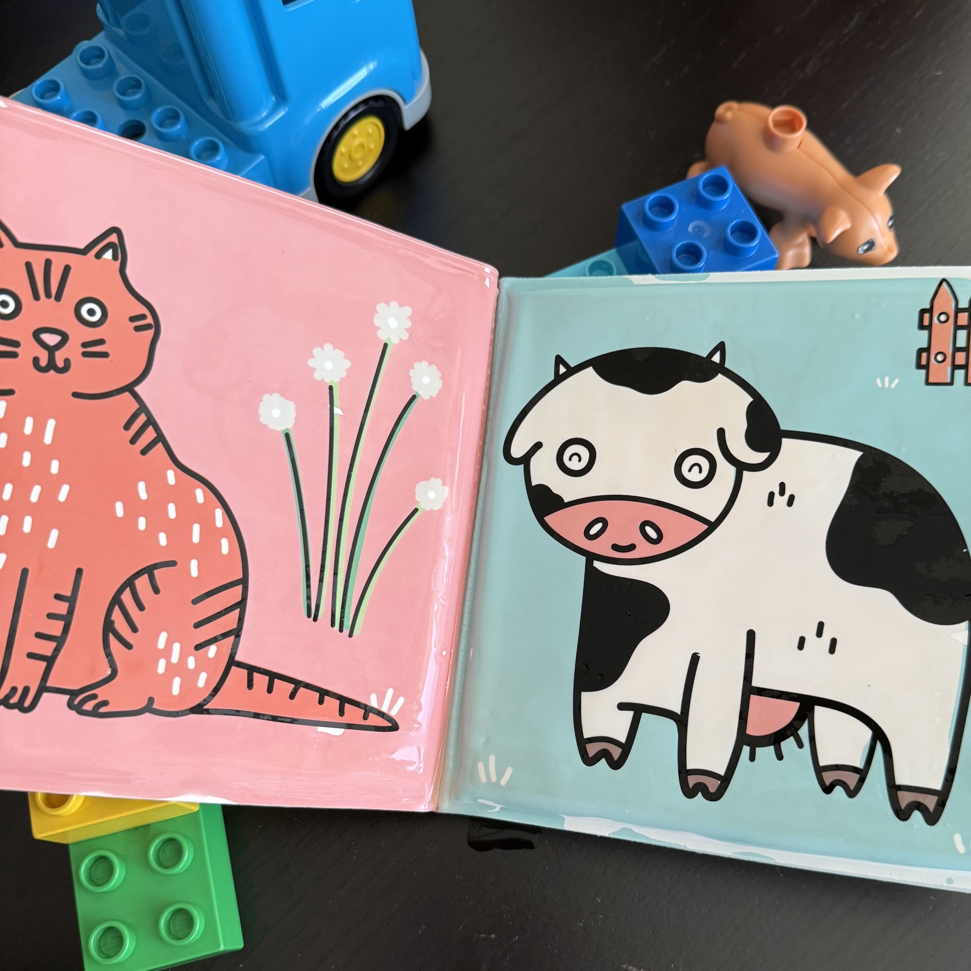 CORES MÁGICAS - QUINTA