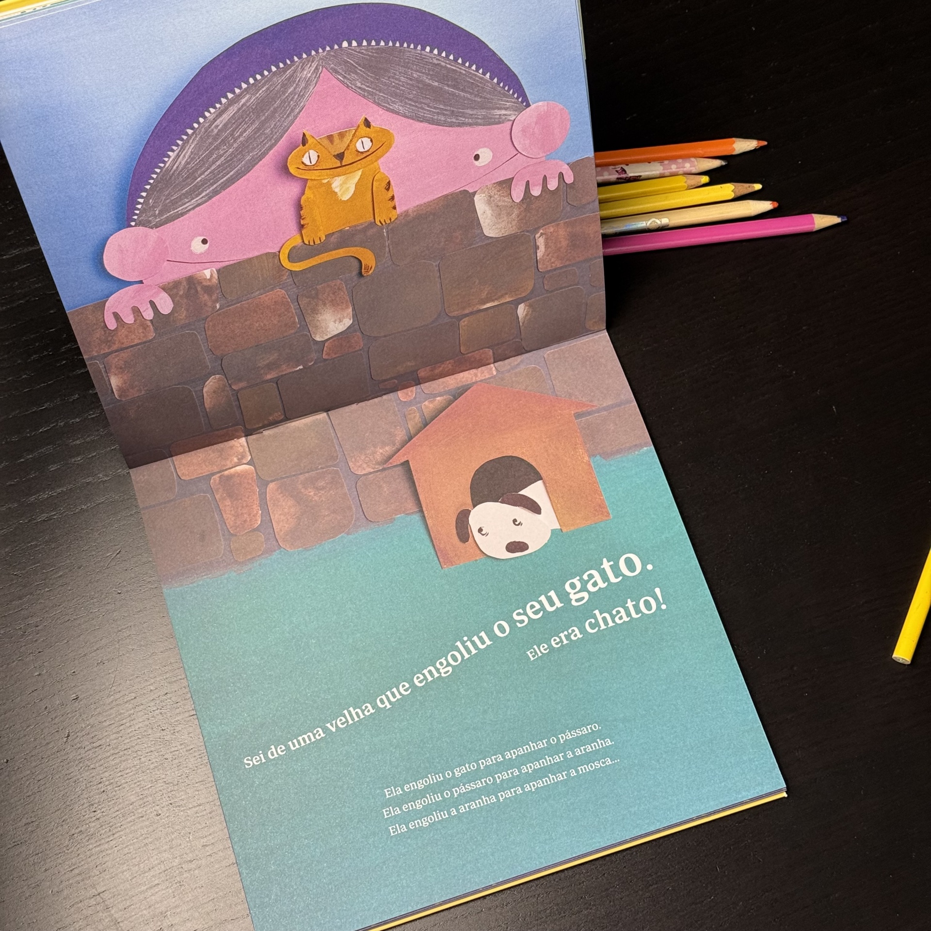 Sei de uma velha que engoliu uma mosca